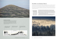 Atlas der Wälder