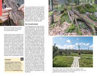 DUMONT Reise-Taschenbuch Reiseführer DUMONT Reise-Taschenbuch Bayerischer Wald, Regensburg, Oberpfälzer Wald